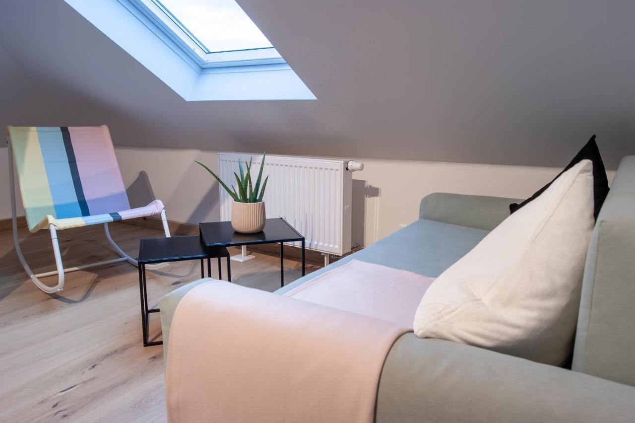 Grosse Familienfreundliche Wohnung In Dresden Eksteriør billede